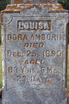 Louisa Amborn